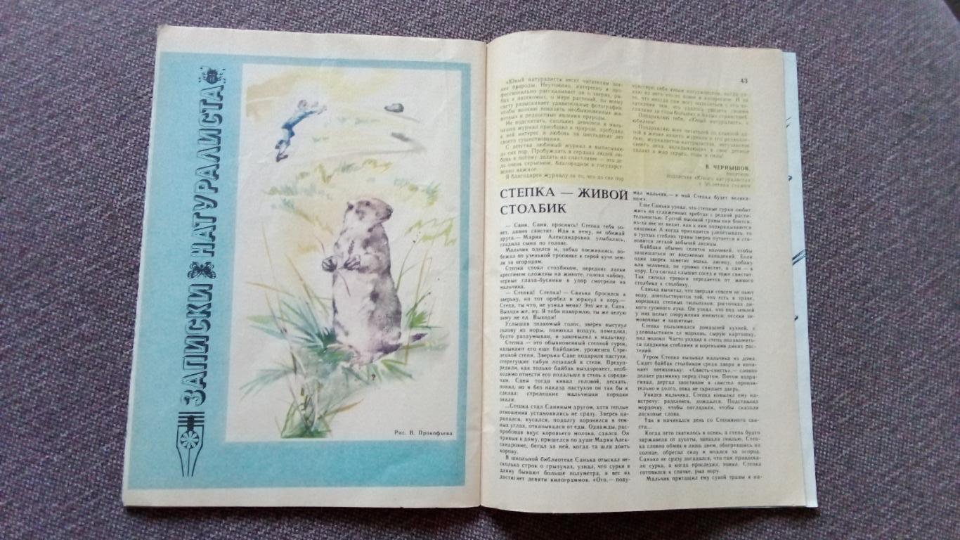 Журнал СССР : Юный натуралист № 5 (май) 1988 г. (Флора и фауна , животные) 4