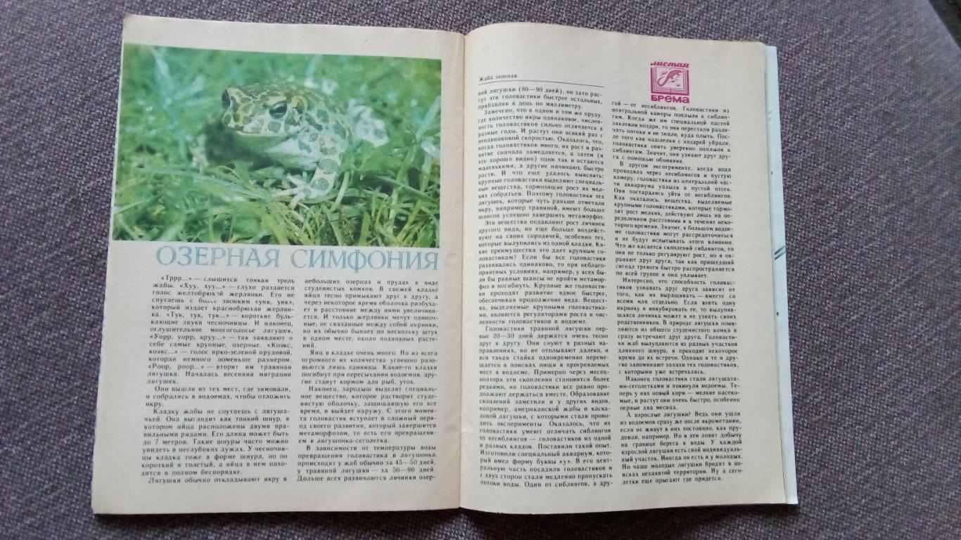 Журнал СССР : Юный натуралист № 5 (май) 1988 г. (Флора и фауна , животные) 5