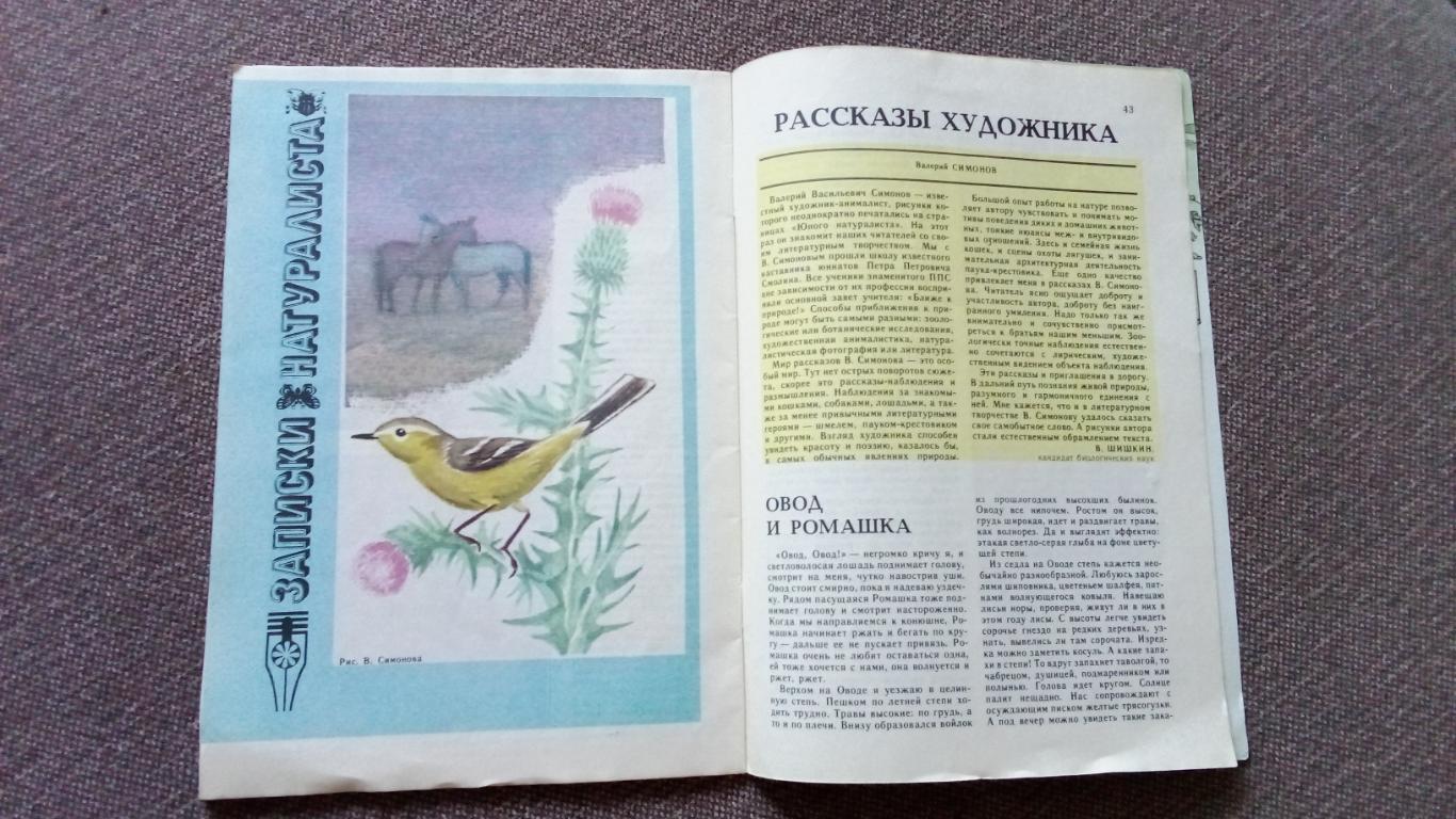 Журнал СССР : Юный натуралист № 8 (август) 1989 г. (Флора и фауна , животные) 4