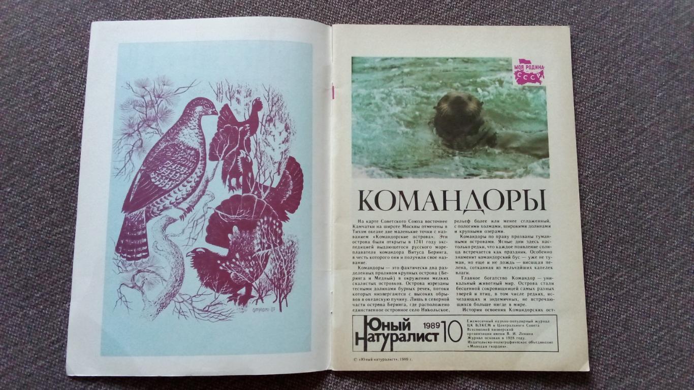 Журнал СССР : Юный натуралист № 10 (октябрь) 1989 г. (Флора и фауна , животные 2