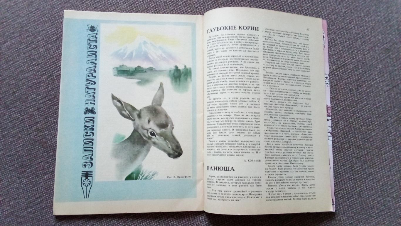 Журнал СССР : Юный натуралист № 5 (май) 1989 г. (Флора и фауна , животные) 4