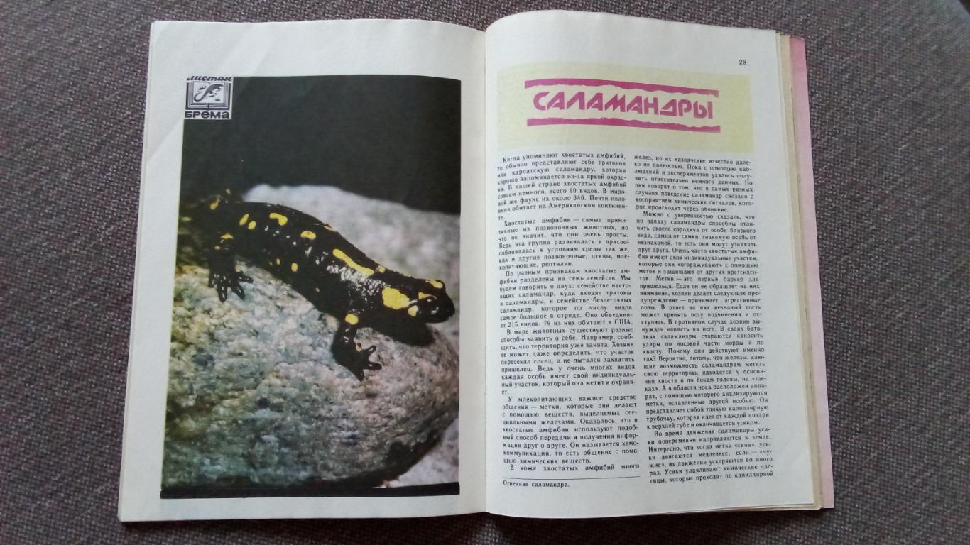 Журнал СССР : Юный натуралист № 11 (ноябрь) 1989 г. (Флора и фауна , животные) 6