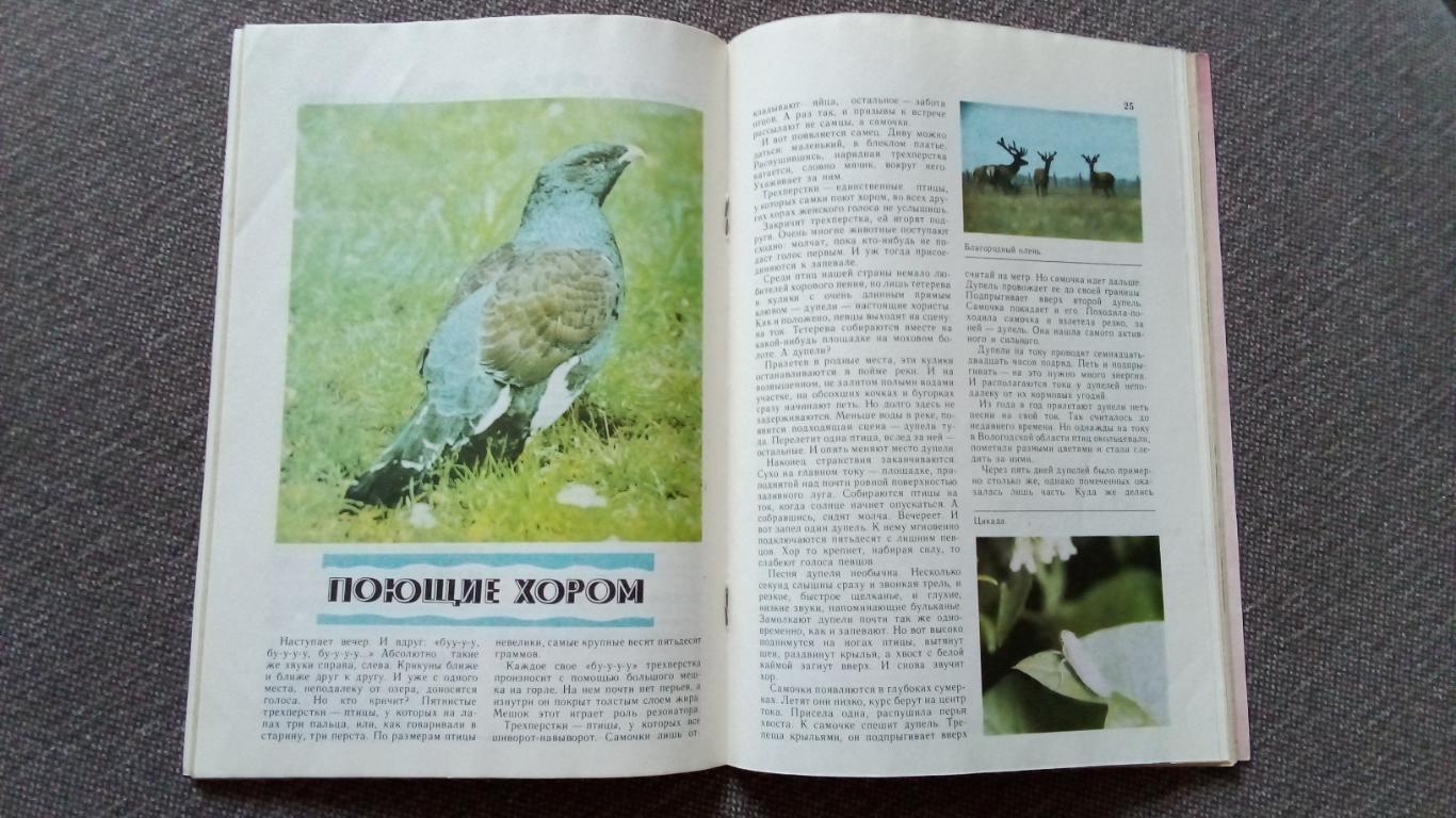 Журнал СССР : Юный натуралист № 11 (ноябрь) 1989 г. (Флора и фауна , животные) 7