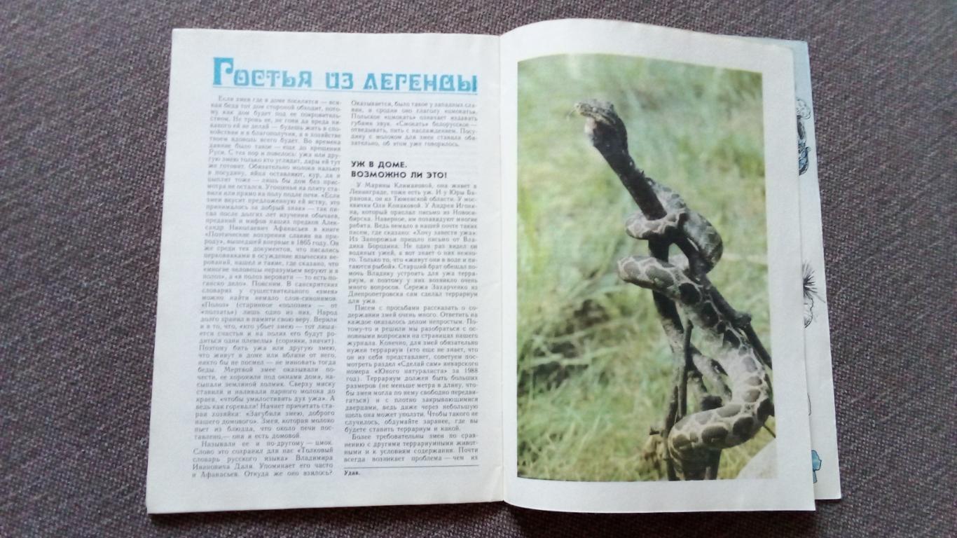 Журнал СССР : Юный натуралист № 12 (декабрь) 1989 г. (Флора и фауна , животные 4