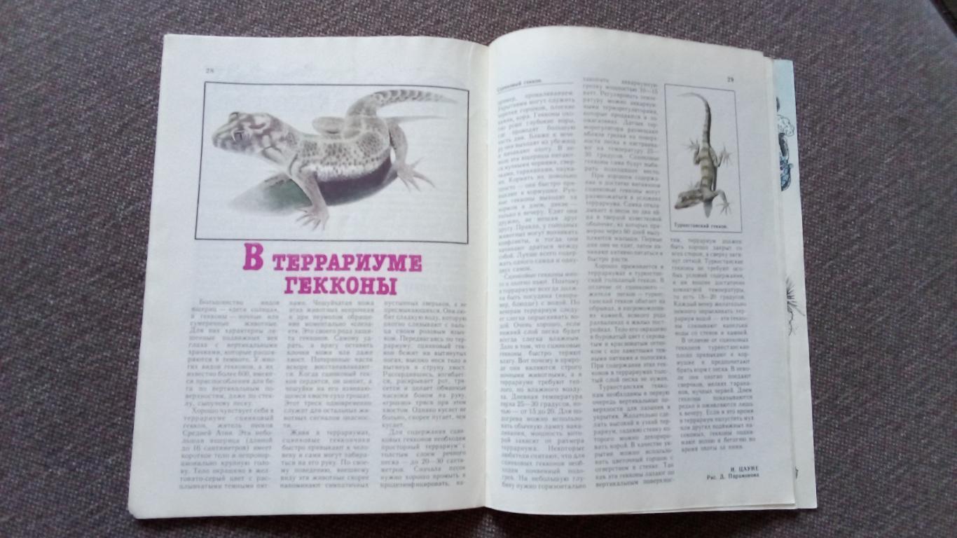 Журнал СССР : Юный натуралист № 12 (декабрь) 1989 г. (Флора и фауна , животные 6