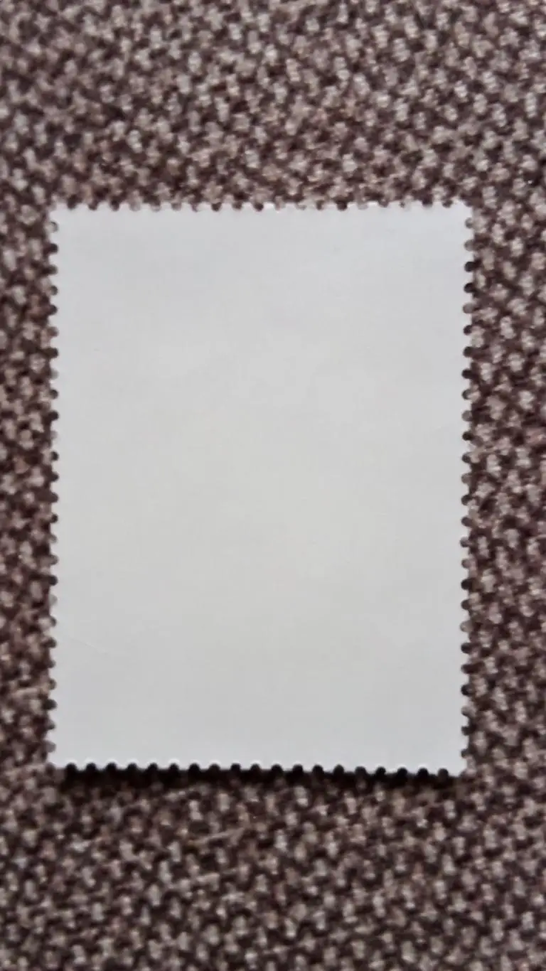 КНДР (Северная Корея) 1979 г. Демонстрация трудящихся (филателия) пропаганда 1