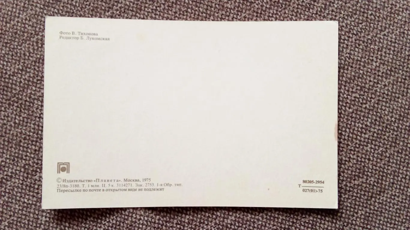 С Новым годом ! 1975 г. Ветка елки с шишками Новогодняя Поздравительная 1