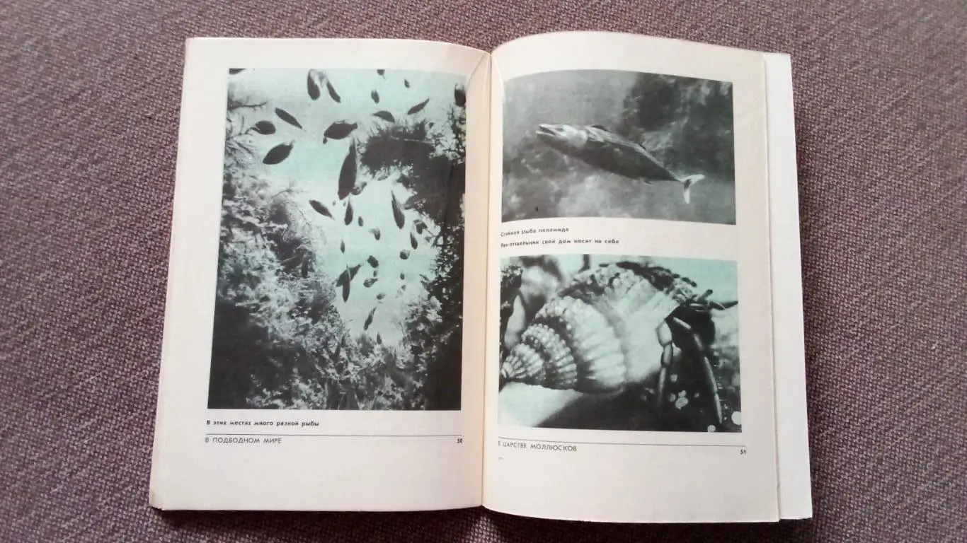 Спортсмен - подводник № 56 ( 1979 г.) Подводное плавание , дайвинг , спорт 7