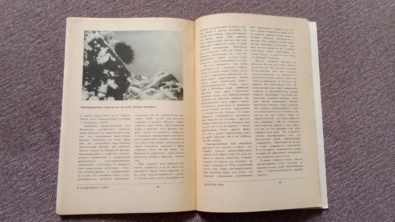 Спортсмен - подводник № 58 ( 1980 г. ) Подводное плавание , дайвинг , спорт 7