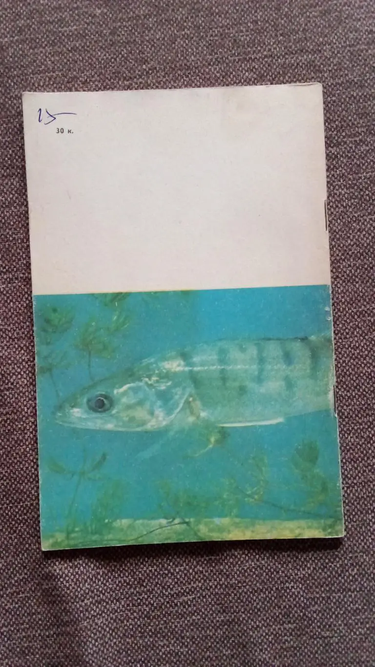 Спортсмен - подводник № 72 ( 1984 г. ) Подводное плавание , дайвинг , спорт 1