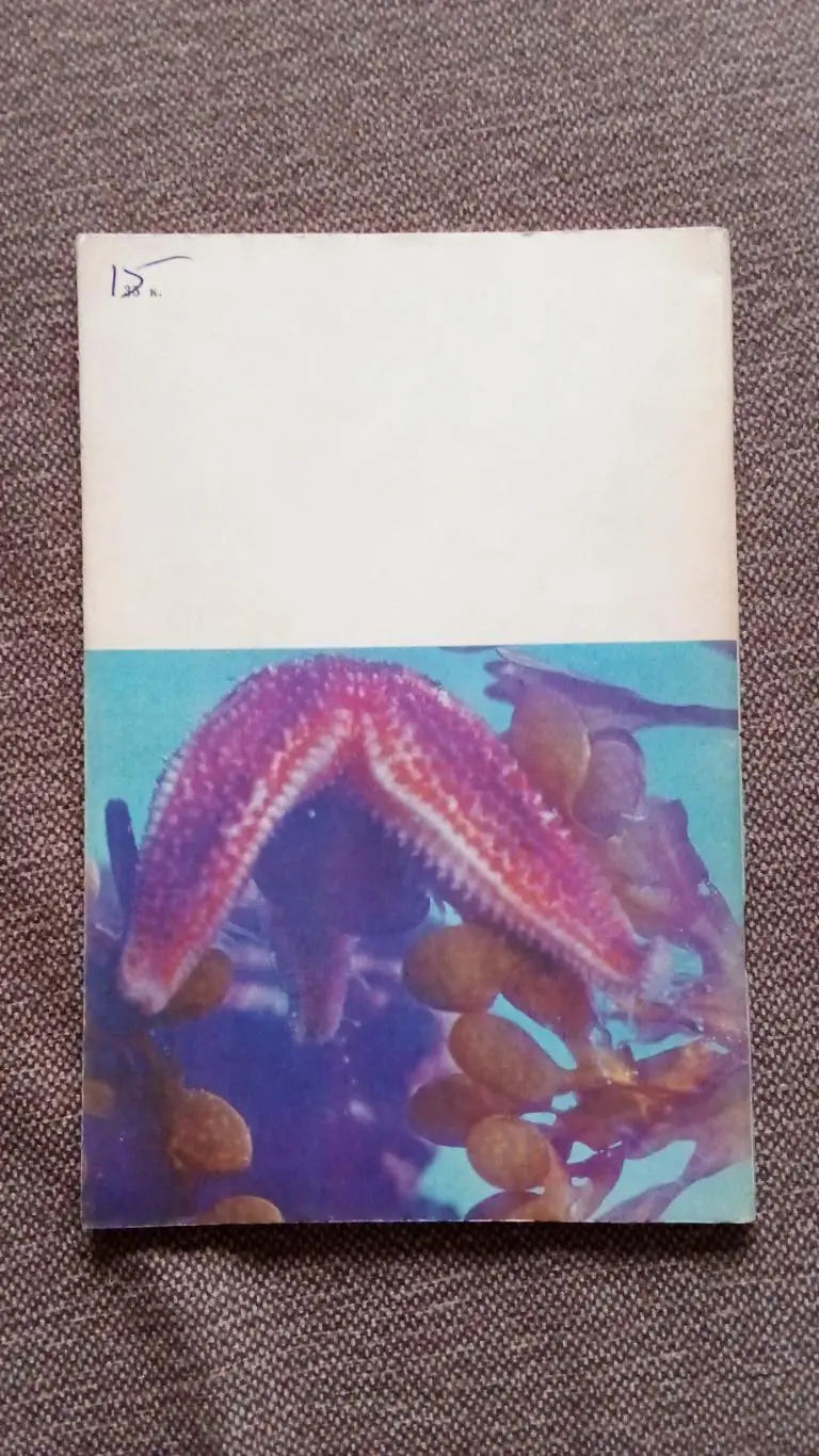 Спортсмен - подводник № 57 ( 1979 г. ) Подводное плавание , дайвинг , спорт 1