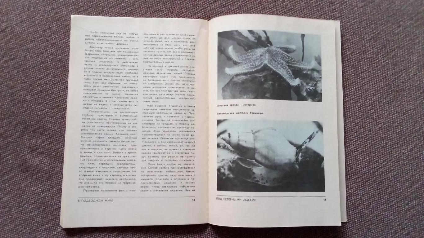 Спортсмен - подводник № 57 ( 1979 г. ) Подводное плавание , дайвинг , спорт 7