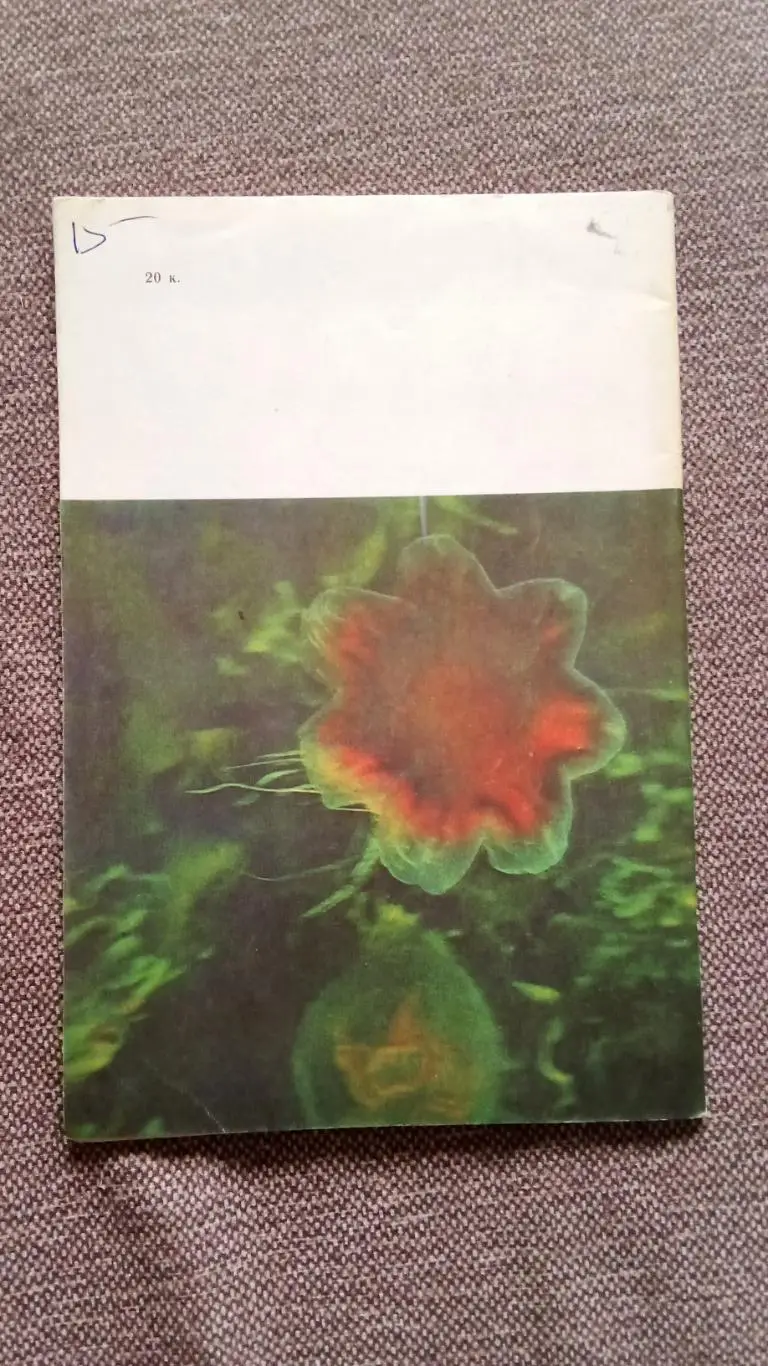 Спортсмен - подводник № 53 ( 1978 г. ) Подводное плавание , дайвинг , спорт 1