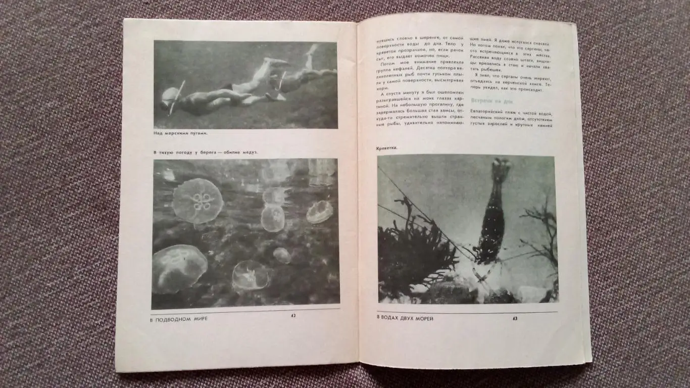 Спортсмен - подводник № 53 ( 1978 г. ) Подводное плавание , дайвинг , спорт 4