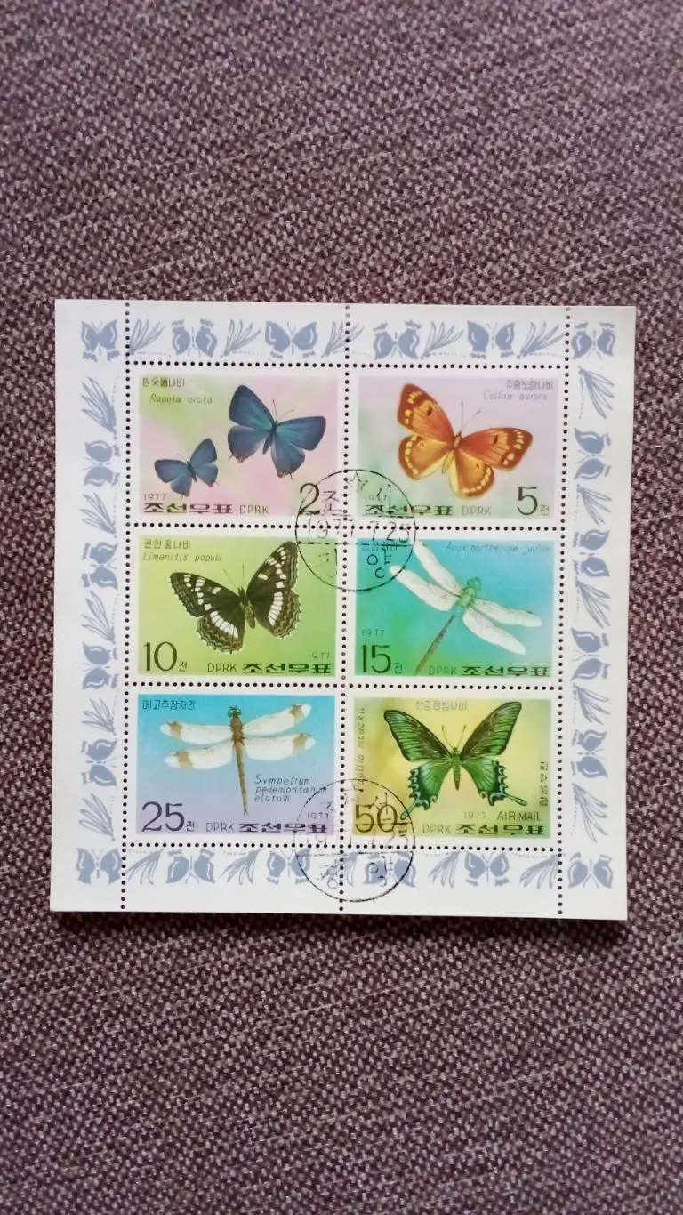 КНДР (Северная Корея) Бабочки (малый лист) 1977 г. насекомые фауна (филателия)