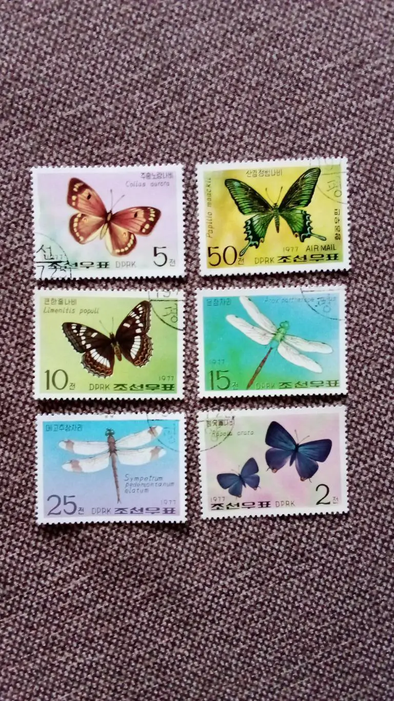 КНДР (Северная Корея) Бабочки 1977 г. (насекомые , фауна) филателия