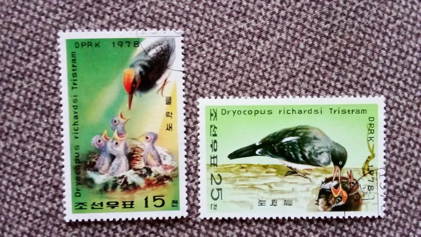 КНДР (Северная Корея) 1978 г. Птицы кормят птенцов (фауна птица) филателия