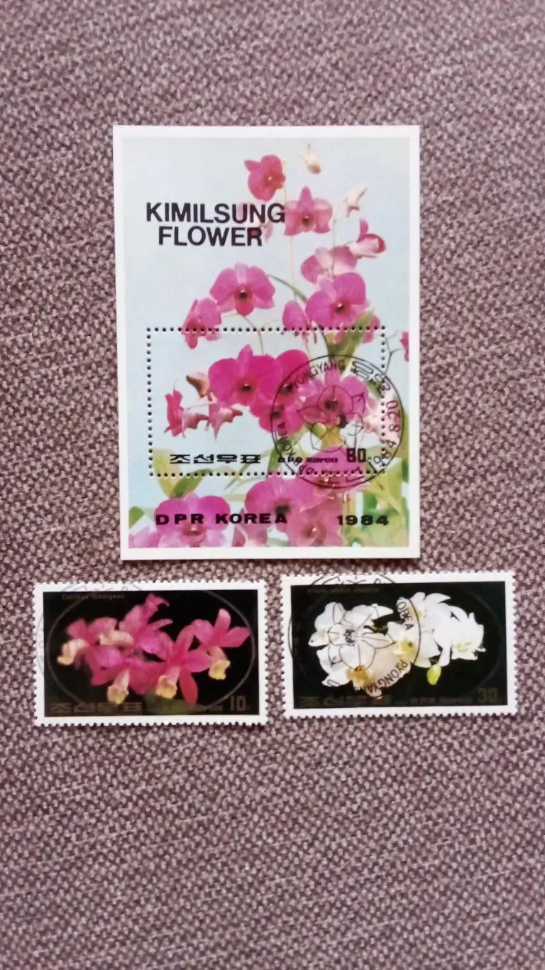 КНДР (Северная Корея) 1984 г. Цветы (блок + 2 марки) флора растения (филателия)