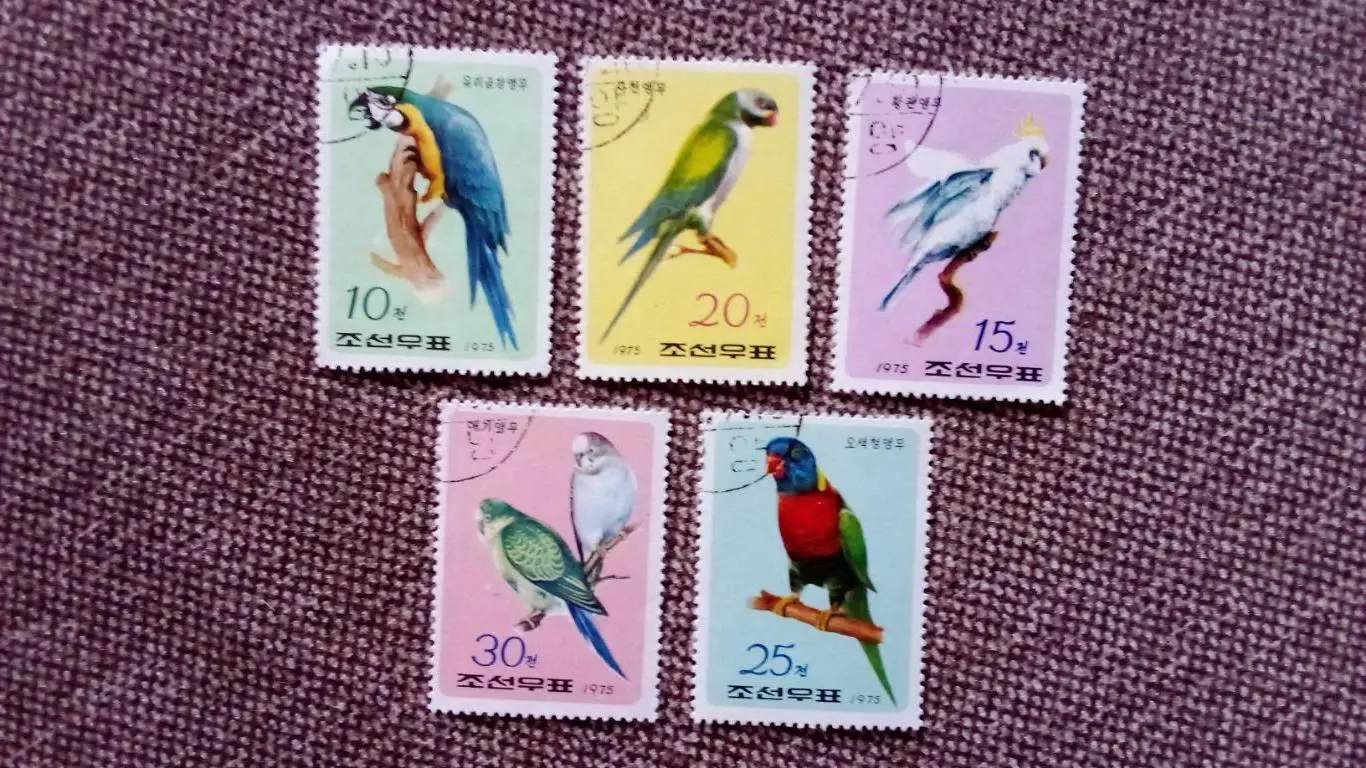 КНДР (Северная Корея) 1975 г. Попугаи (Попугай фауна птицы животные) филателия