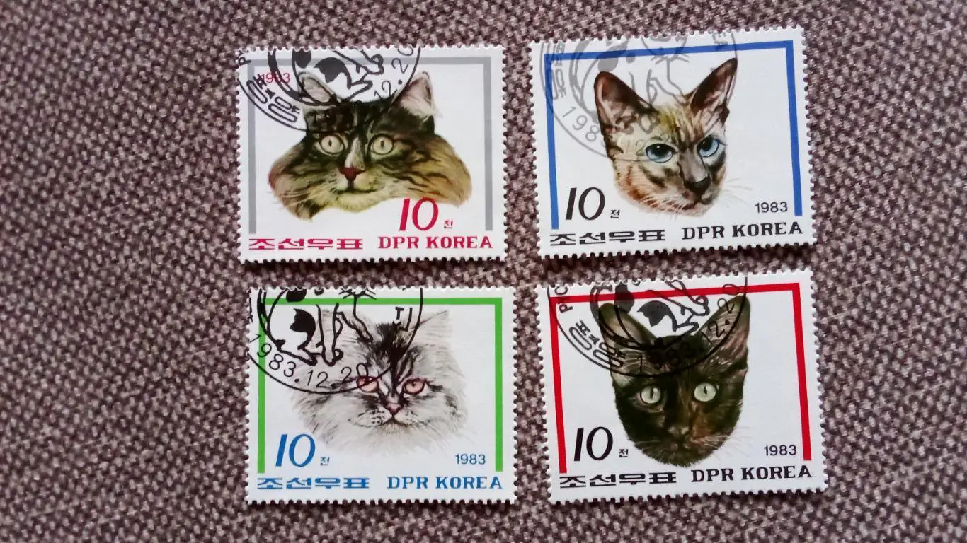КНДР (Северная Корея) 1983 г. Кошки (коты фауна животные) филателия