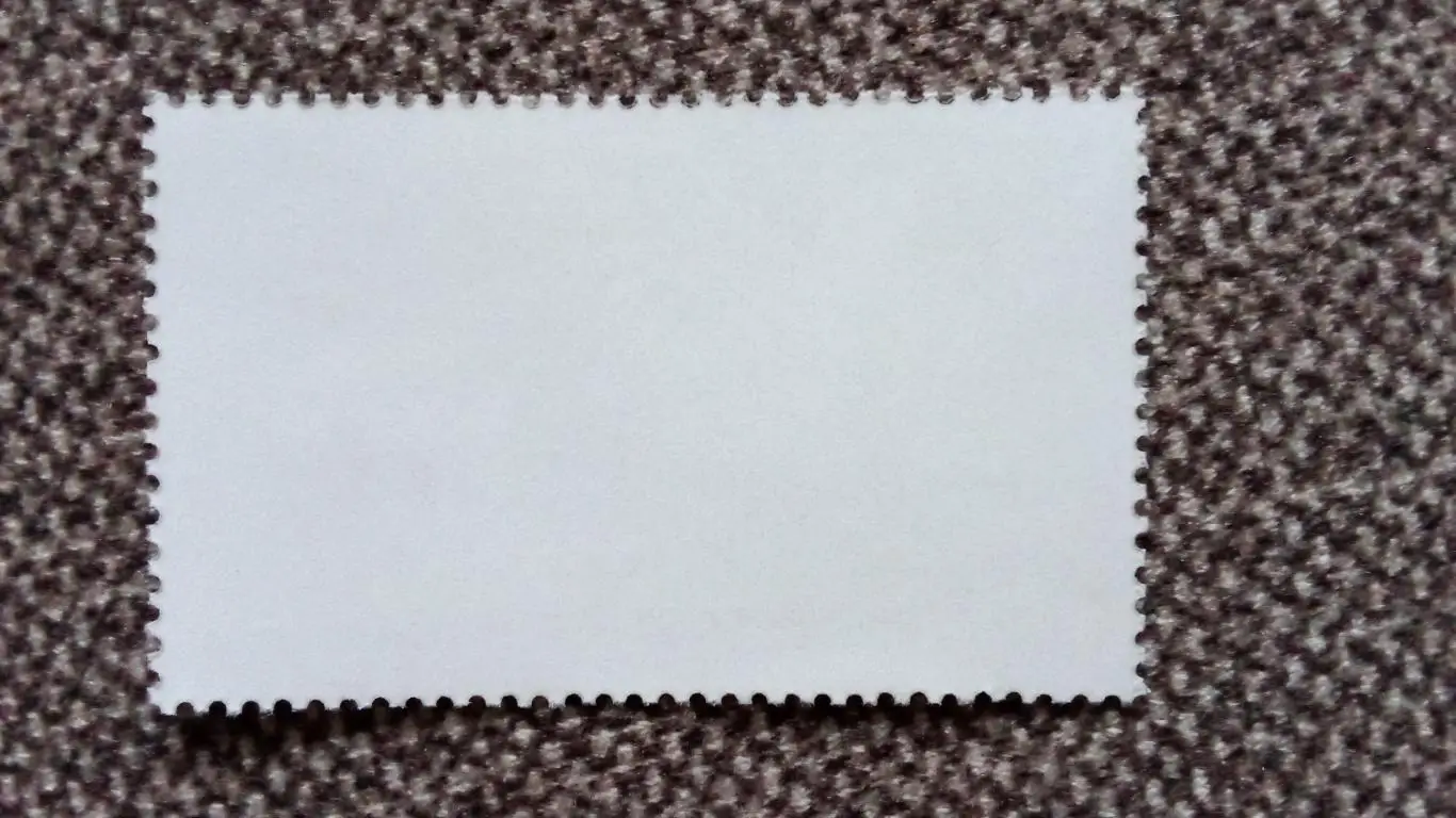 КНДР (Северная Корея) 1983 г. Зоопарк в Базеле , мишка Панда (фауна животные) 1