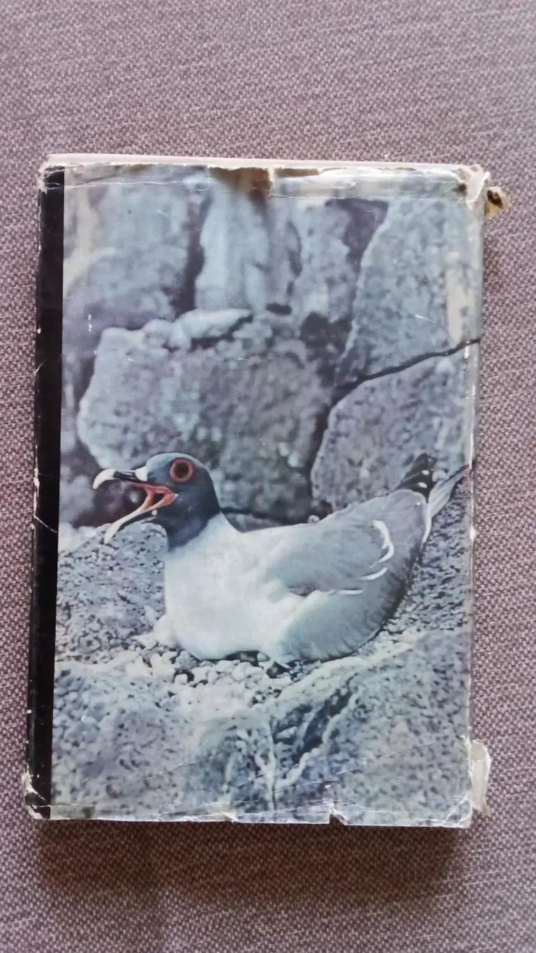 Зачарованные острова - Галапагосы 1971 г. (Галапагосские острова) Фауна и флора 1