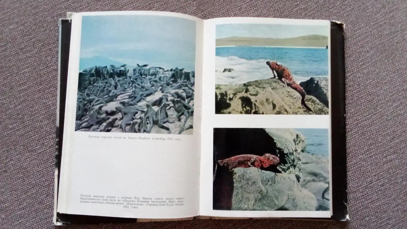 Зачарованные острова - Галапагосы 1971 г. (Галапагосские острова) Фауна и флора 5