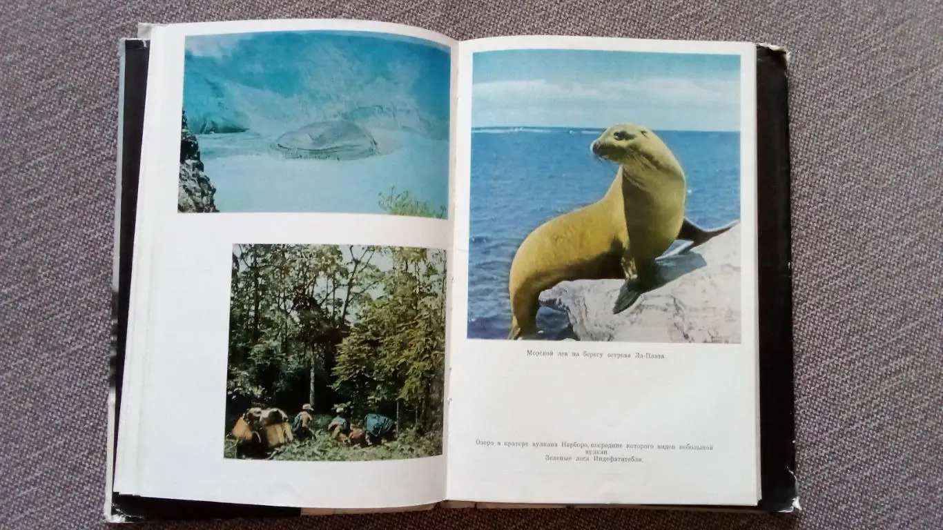 Зачарованные острова - Галапагосы 1971 г. (Галапагосские острова) Фауна и флора 7