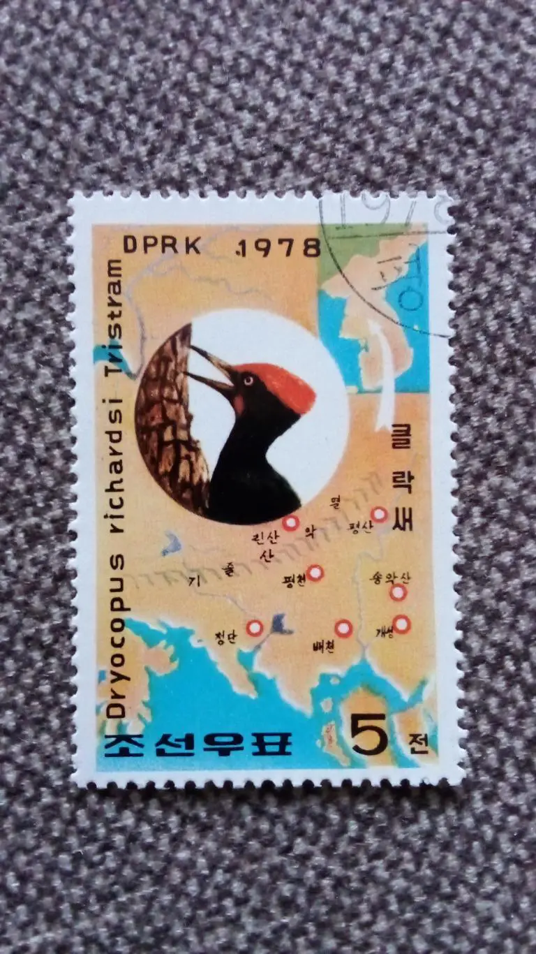 КНДР (Северная Корея) 1978 г. Дятел (места обитания) Птица Птицы Фауна филателия
