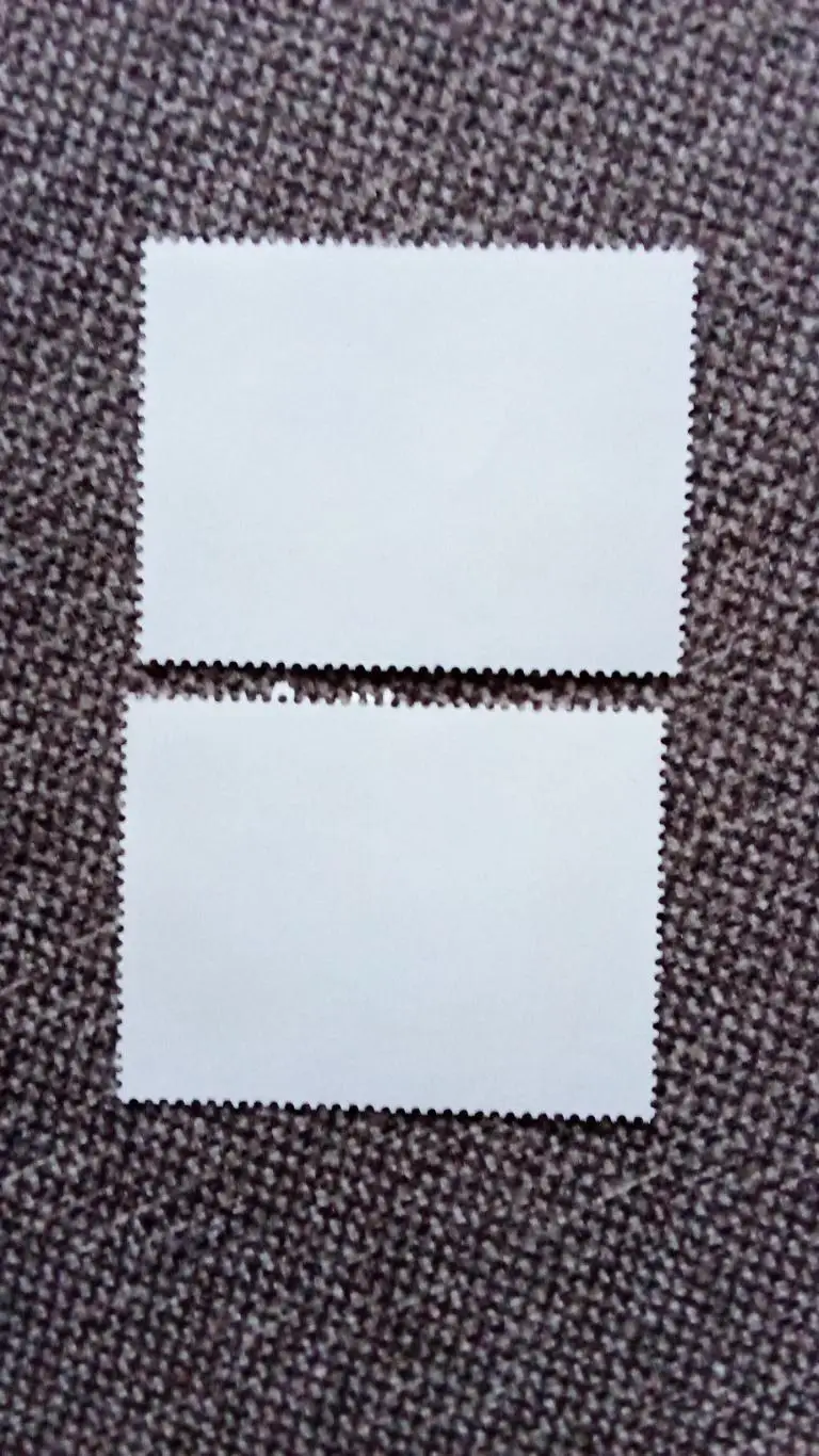 КНДР (Северная Корея) 1981 г. История почтовой марки (филателия) 1