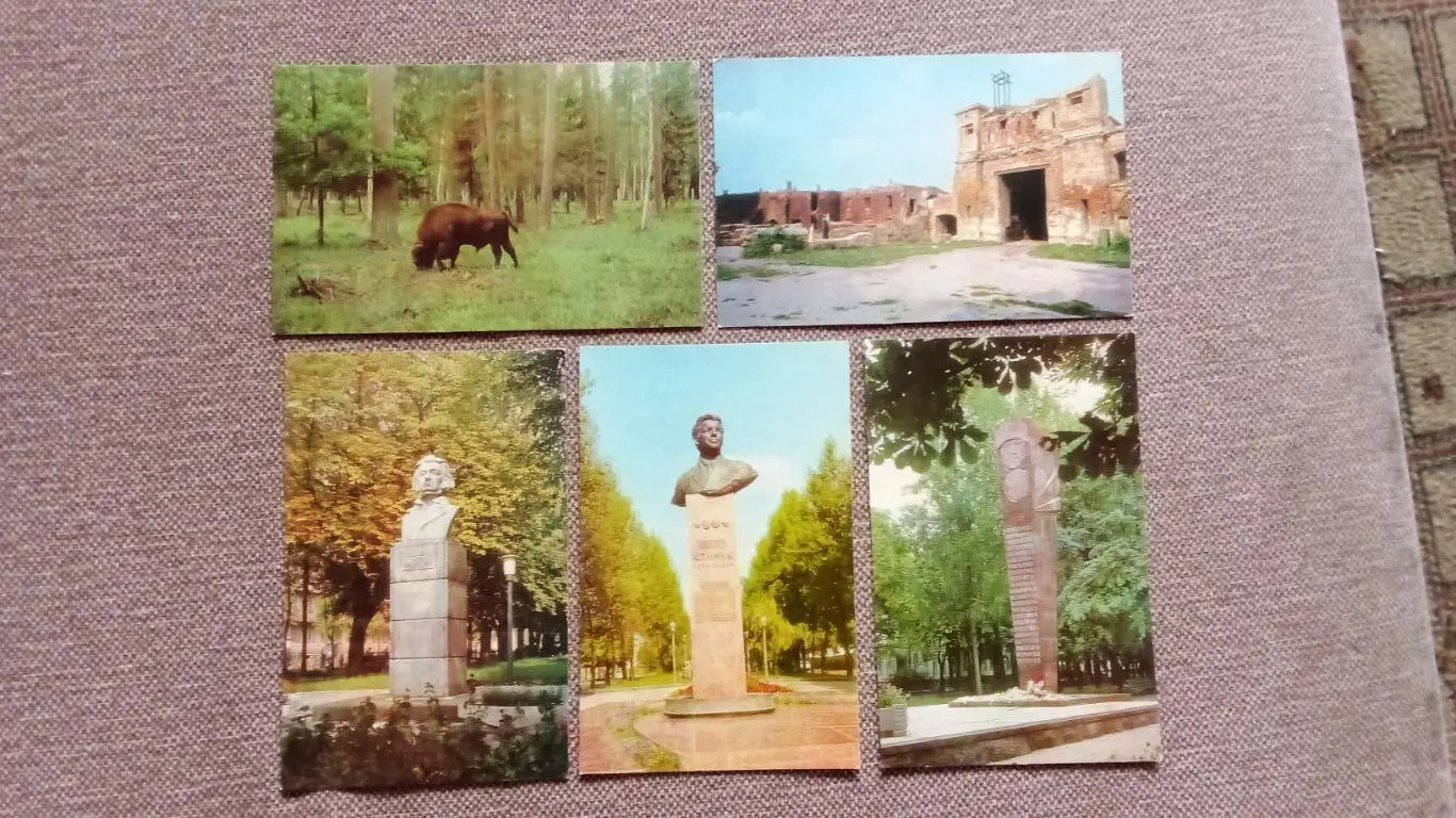 Города СССР : Брест (Белоруссия) 1980 г. полный набор - 17 открыток (чистые) 5