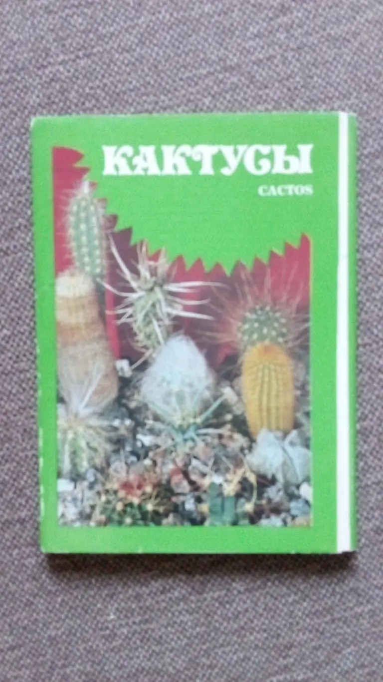 Кактусы 1984 г. Выпуск № 1 , полный набор - 24 открытки (чистые) Цветы Растения