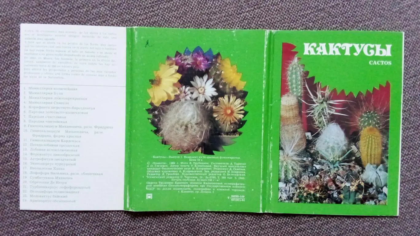 Кактусы 1984 г. Выпуск № 1 , полный набор - 24 открытки (чистые) Цветы Растения 1