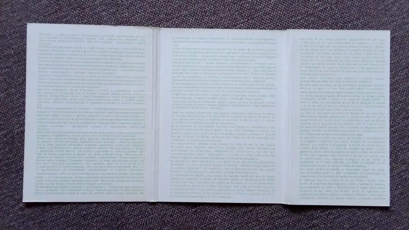 Кактусы 1984 г. Выпуск № 1 , полный набор - 24 открытки (чистые) Цветы Растения 2