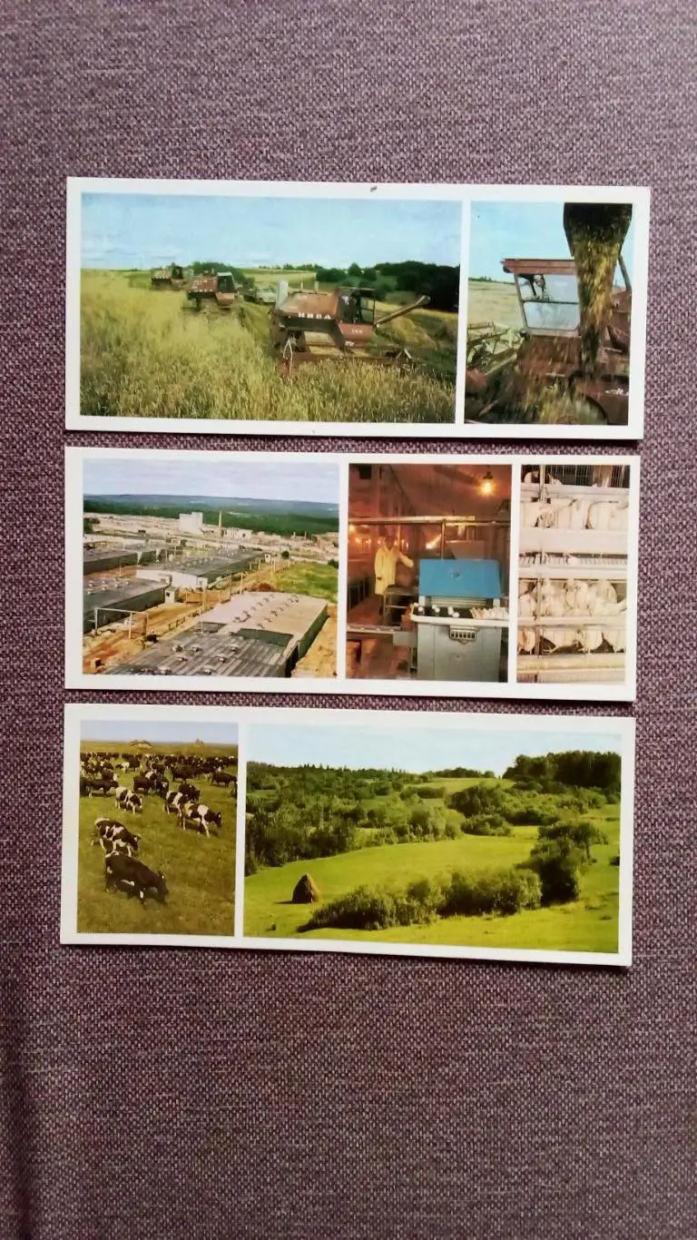 По Валдаю 1978 г. , полный набор - 12 открыток (Памятные места СССР) Валдай 2