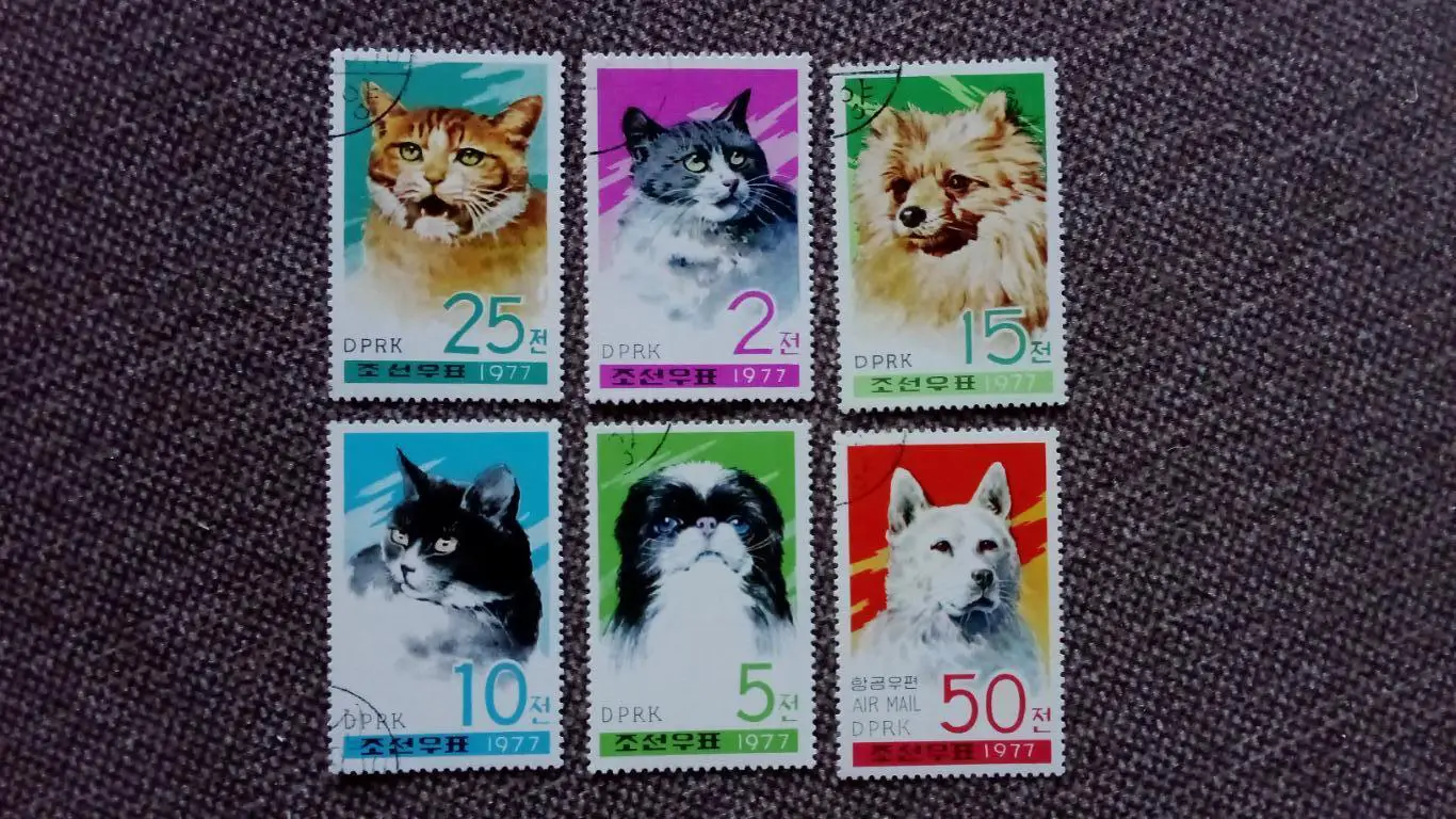 КНДР (Северная Корея) 1977 г. Кошки (Кот) полная серия (фауна животные)