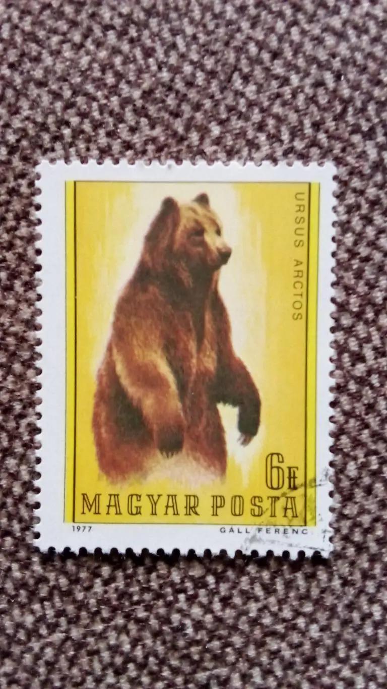 Венгрия 1977 г. Медведь (фауна , животные) филателия