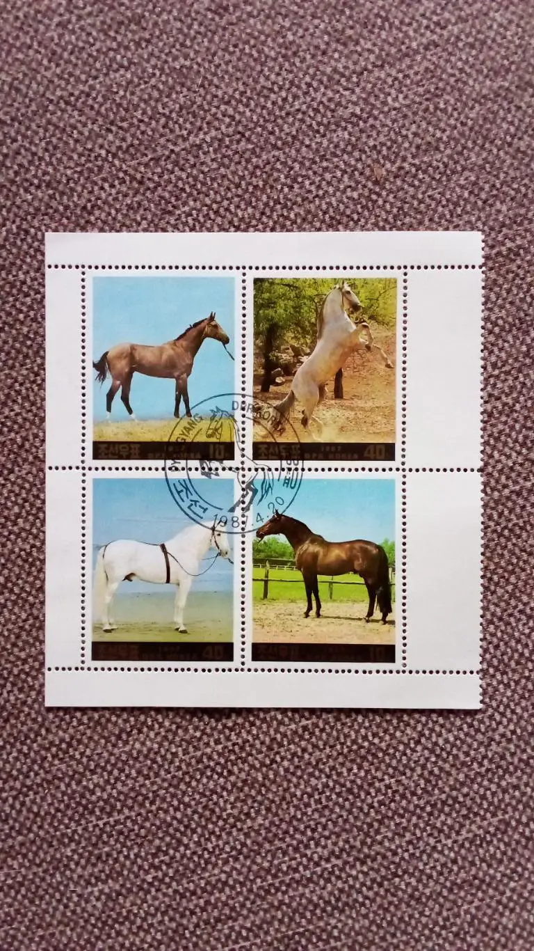 КНДР (Северная Корея) 1987 г. Лошади (Лошадь) Конь (малый лист-сцепка) филателия