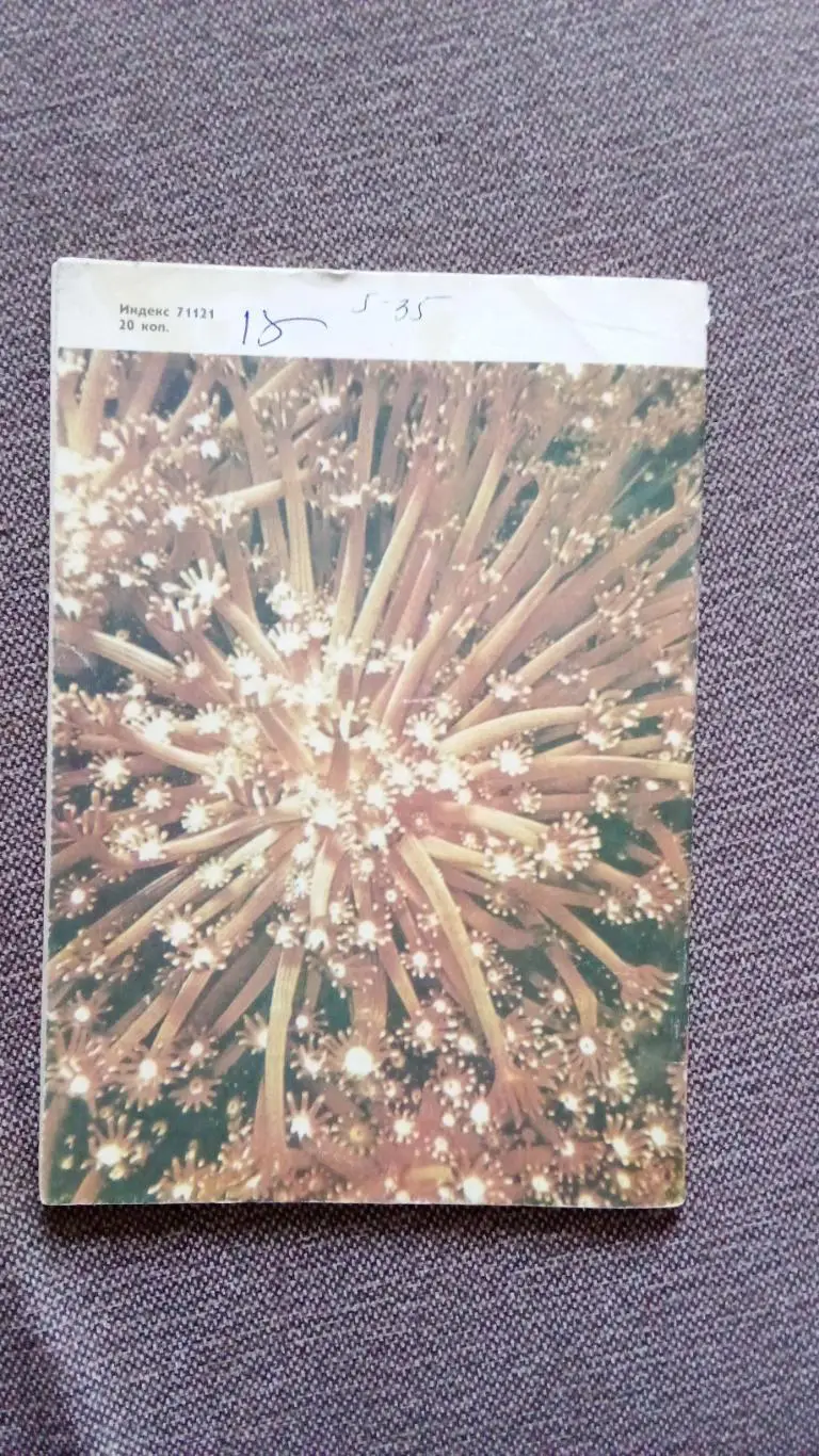 Журнал СССР : Юный натуралист № 12 (декабрь) 1981 г. (Флора и фауна , животные 1