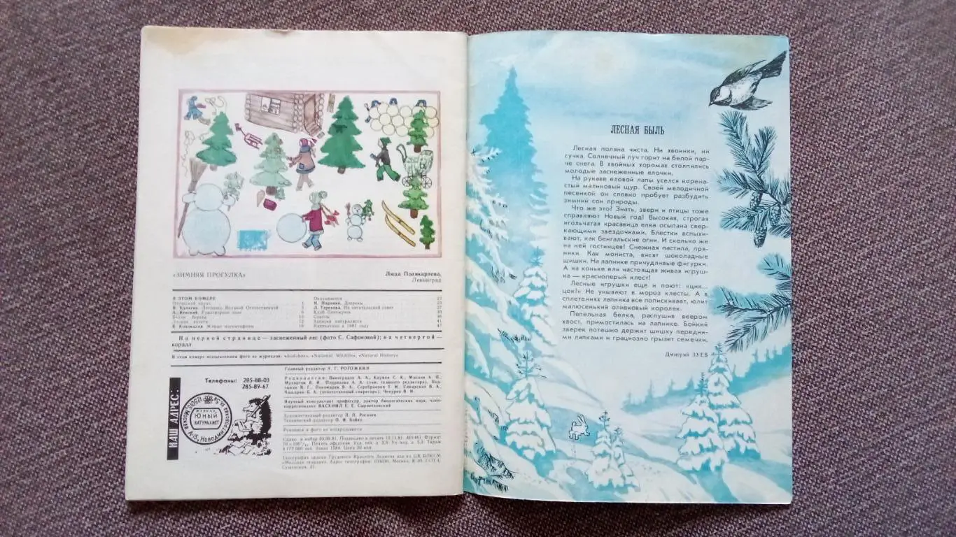 Журнал СССР : Юный натуралист № 12 (декабрь) 1981 г. (Флора и фауна , животные 3