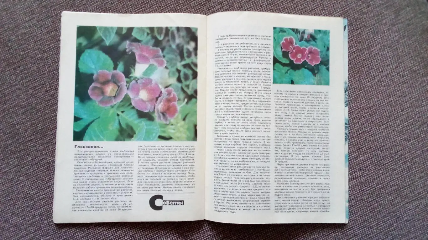 Журнал СССР : Юный натуралист № 12 (декабрь) 1981 г. (Флора и фауна , животные 4