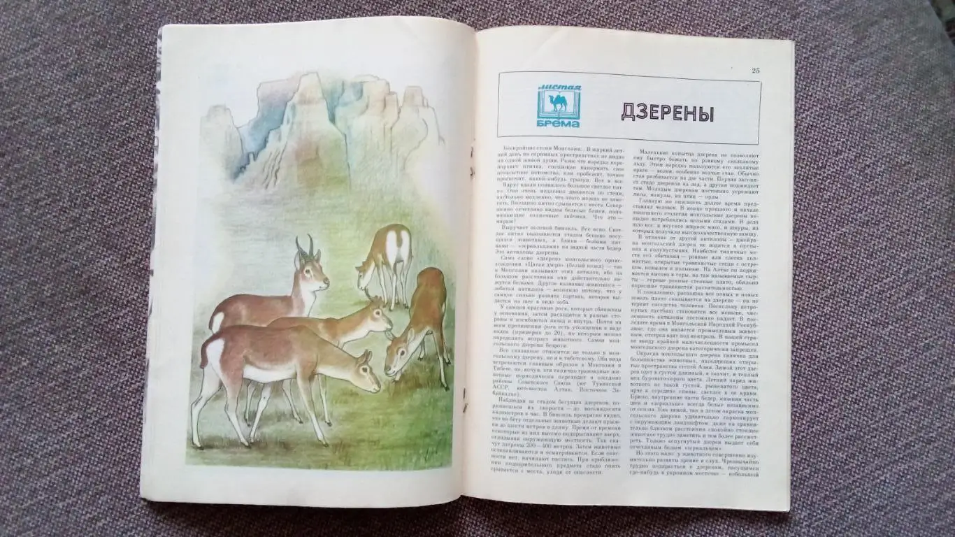 Журнал СССР : Юный натуралист № 12 (декабрь) 1981 г. (Флора и фауна , животные 6