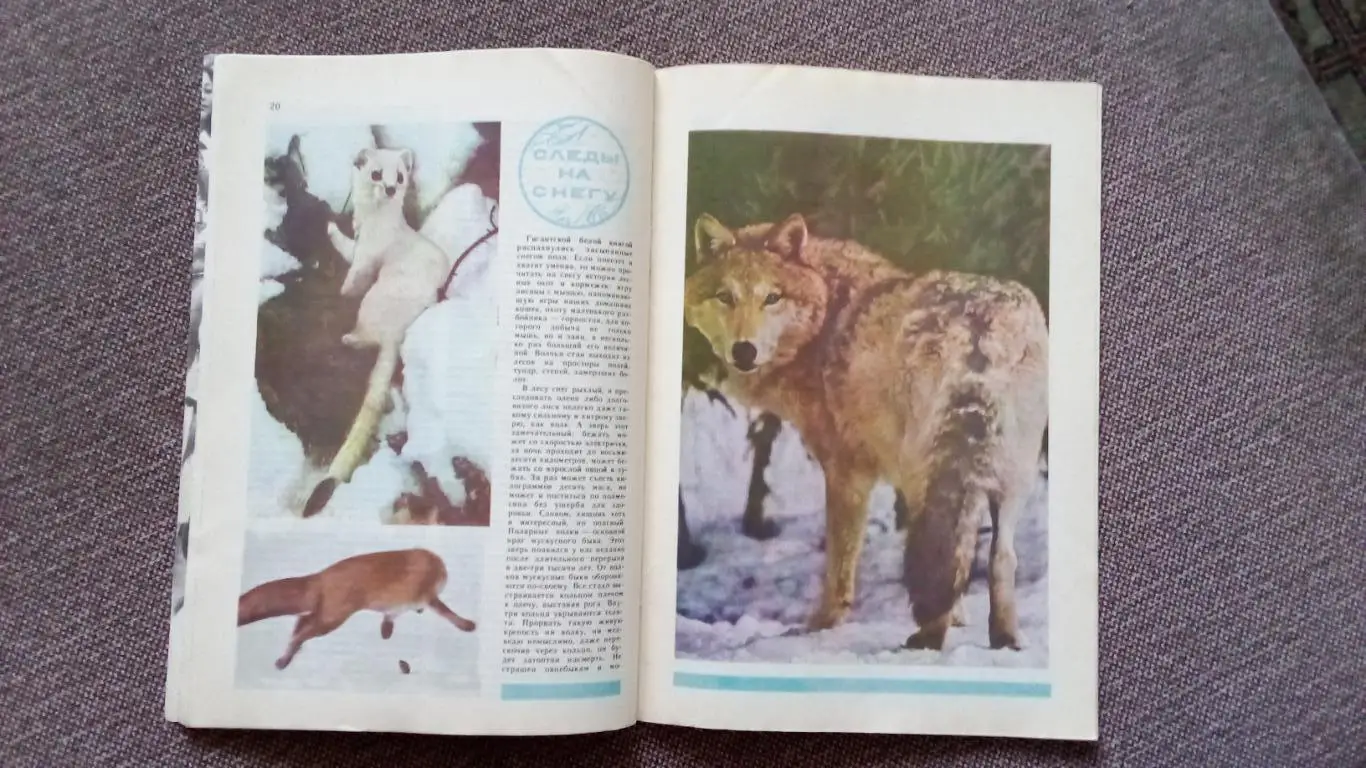 Журнал СССР : Юный натуралист № 12 (декабрь) 1981 г. (Флора и фауна , животные 7