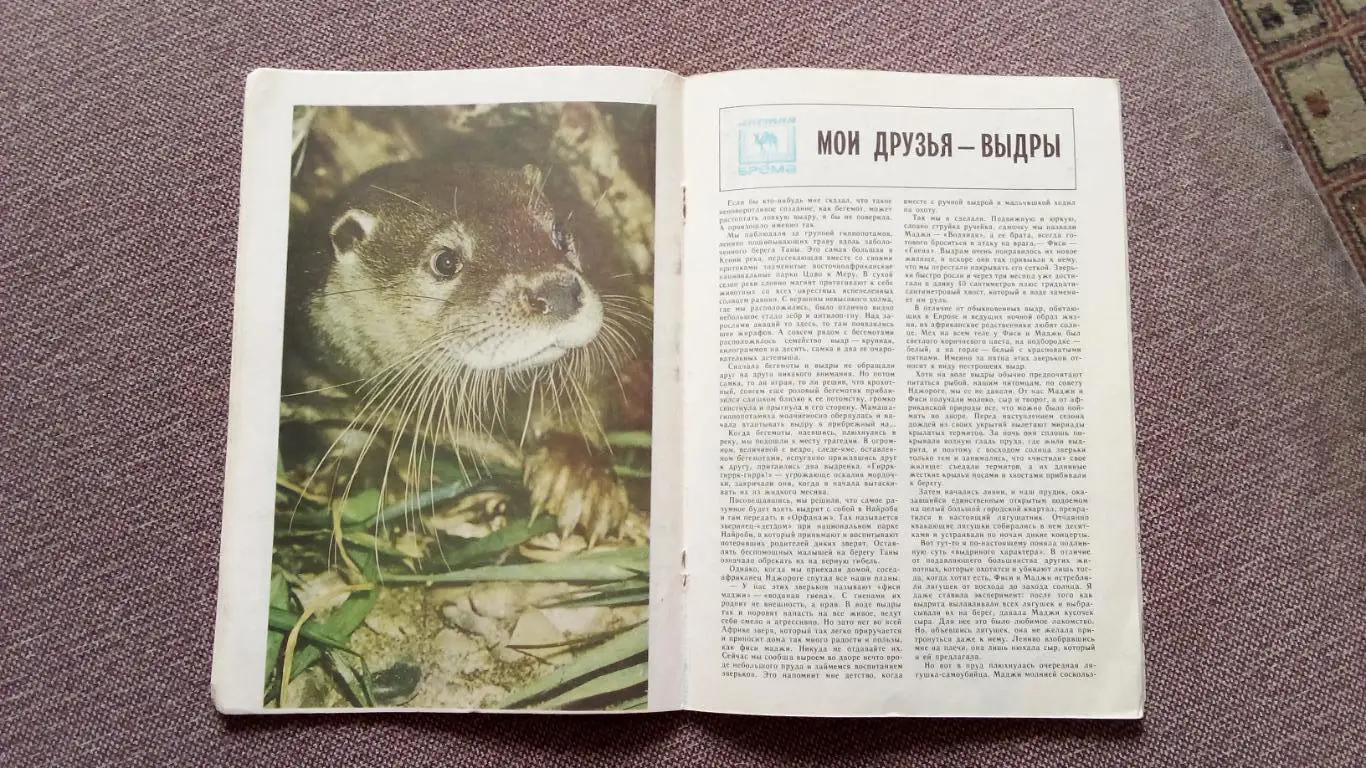 Журнал СССР : Юный натуралист № 6 (июнь) 1982 г. (Флора и фауна , животные) 5