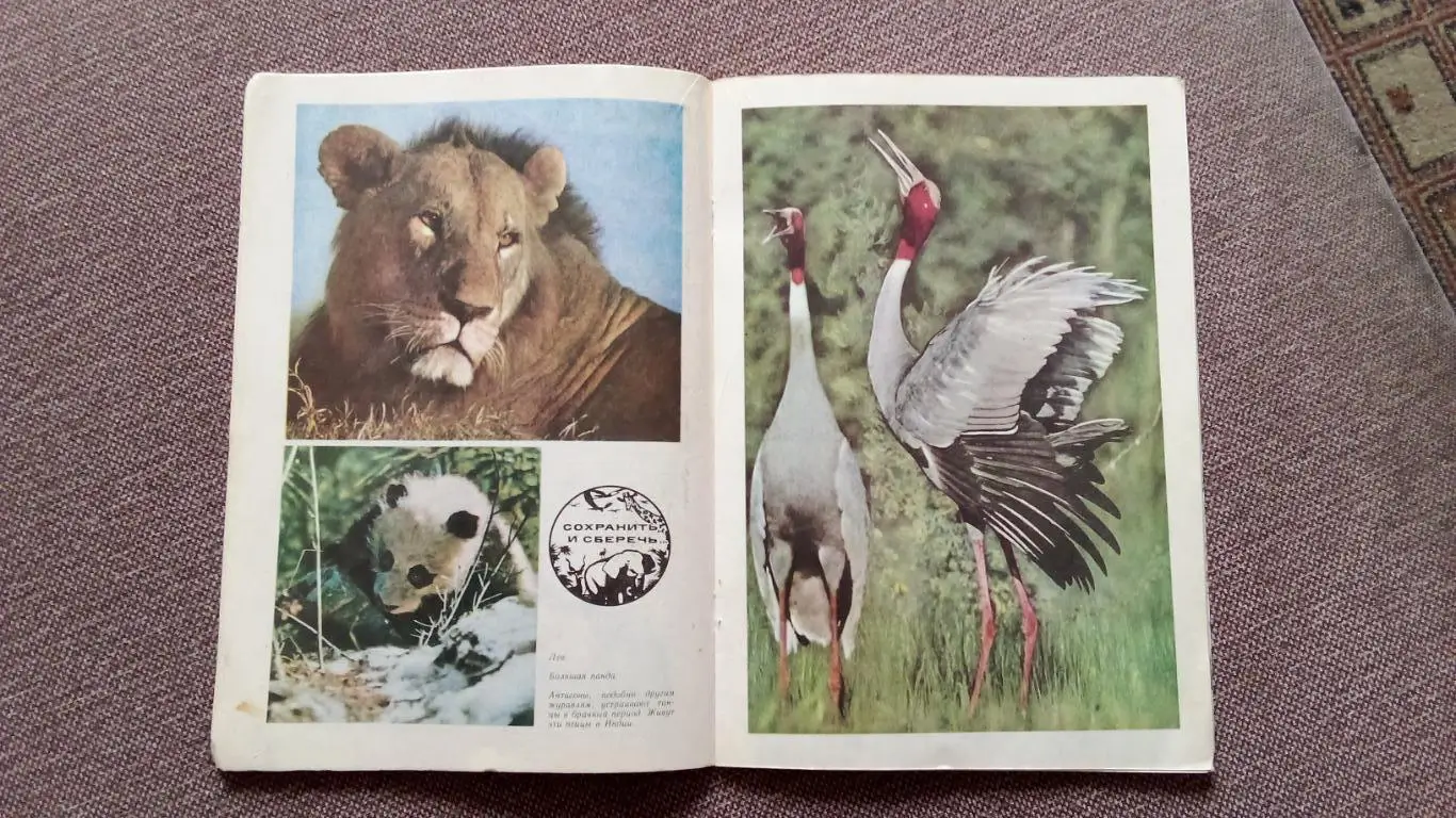 Журнал СССР : Юный натуралист № 6 (июнь) 1982 г. (Флора и фауна , животные) 6