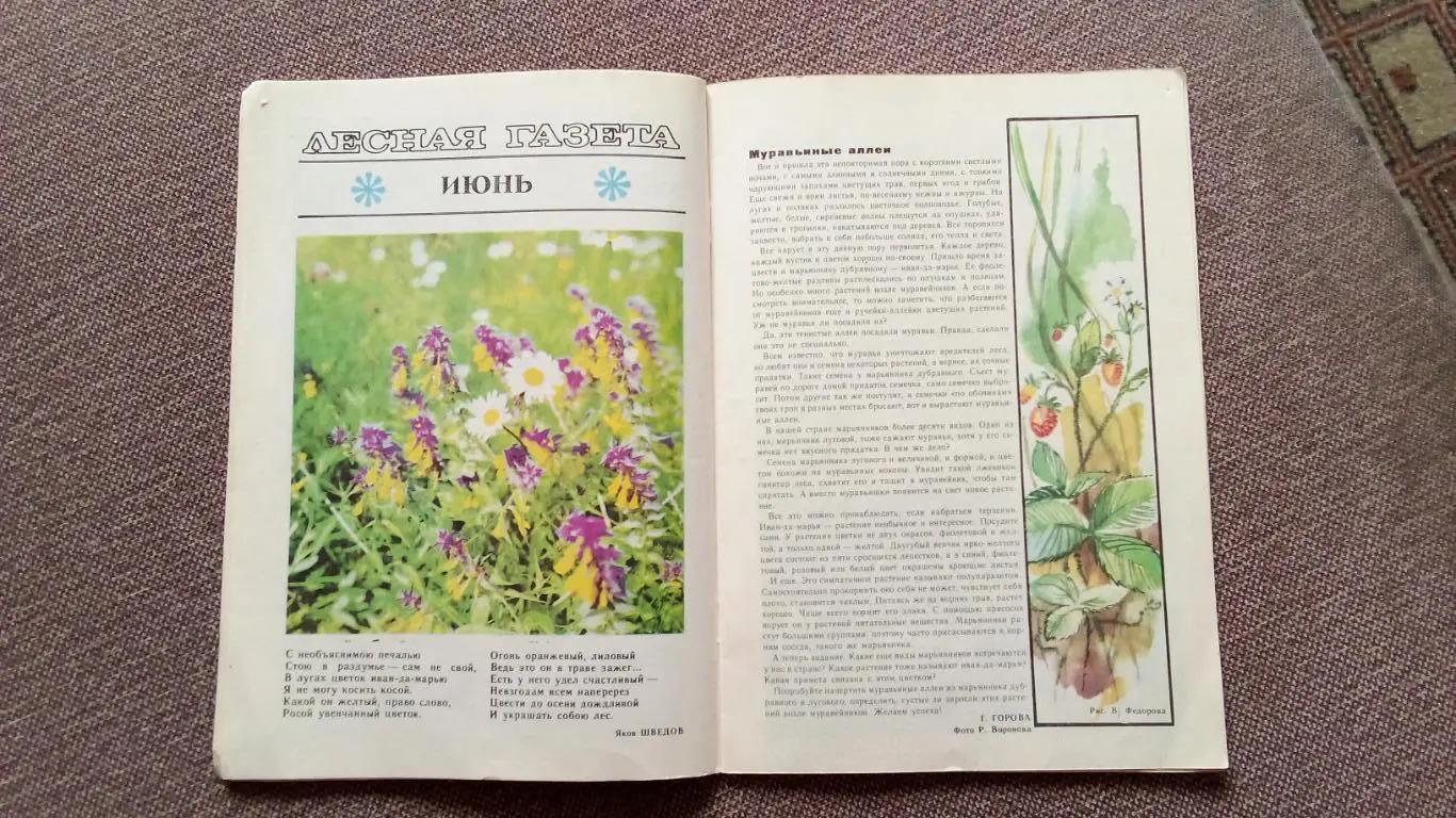 Журнал СССР : Юный натуралист № 6 (июнь) 1982 г. (Флора и фауна , животные) 7