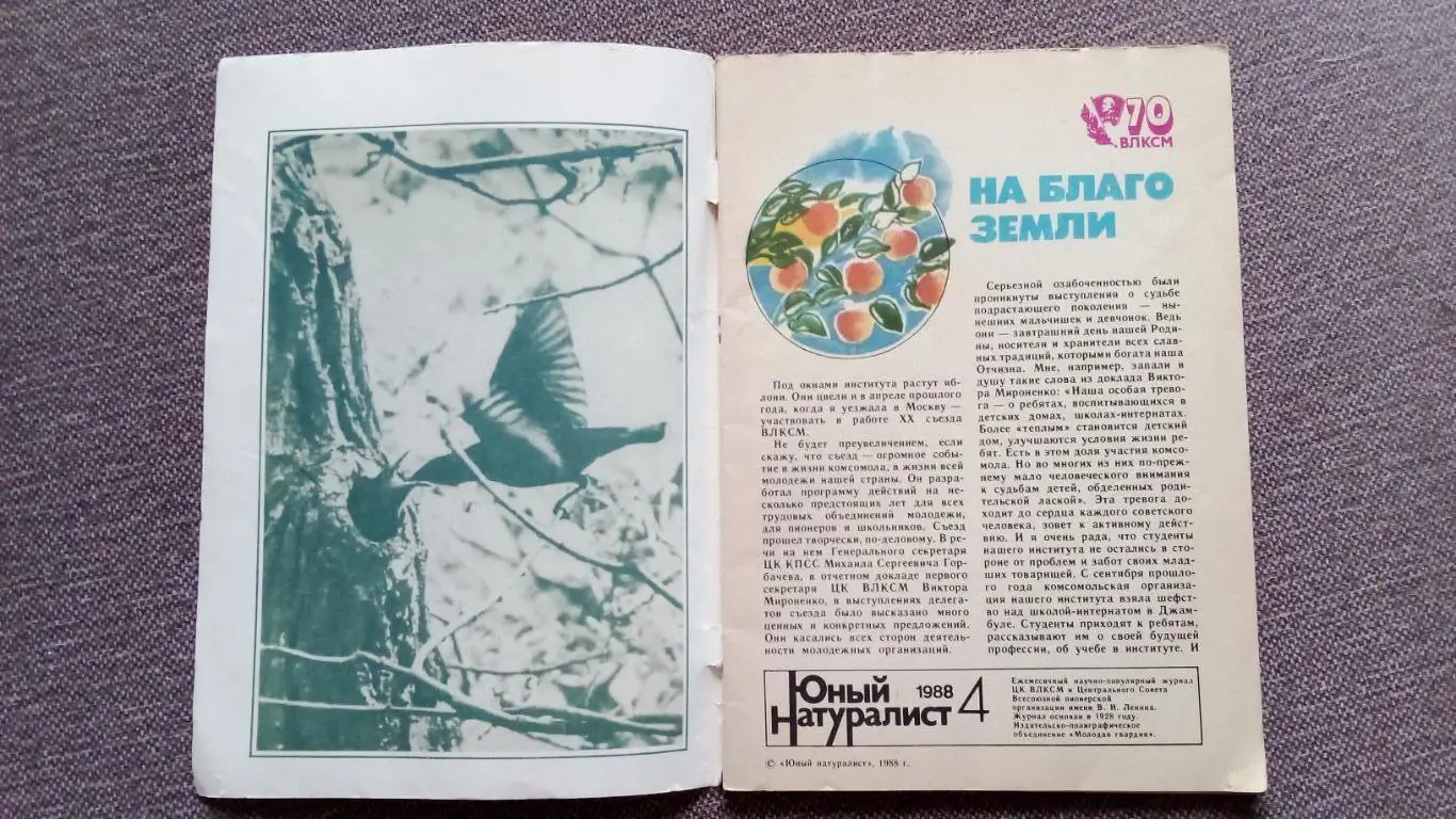 Журнал СССР : Юный натуралист № 4 ( апрель) 1988 г. (Флора и фауна , животные) 2
