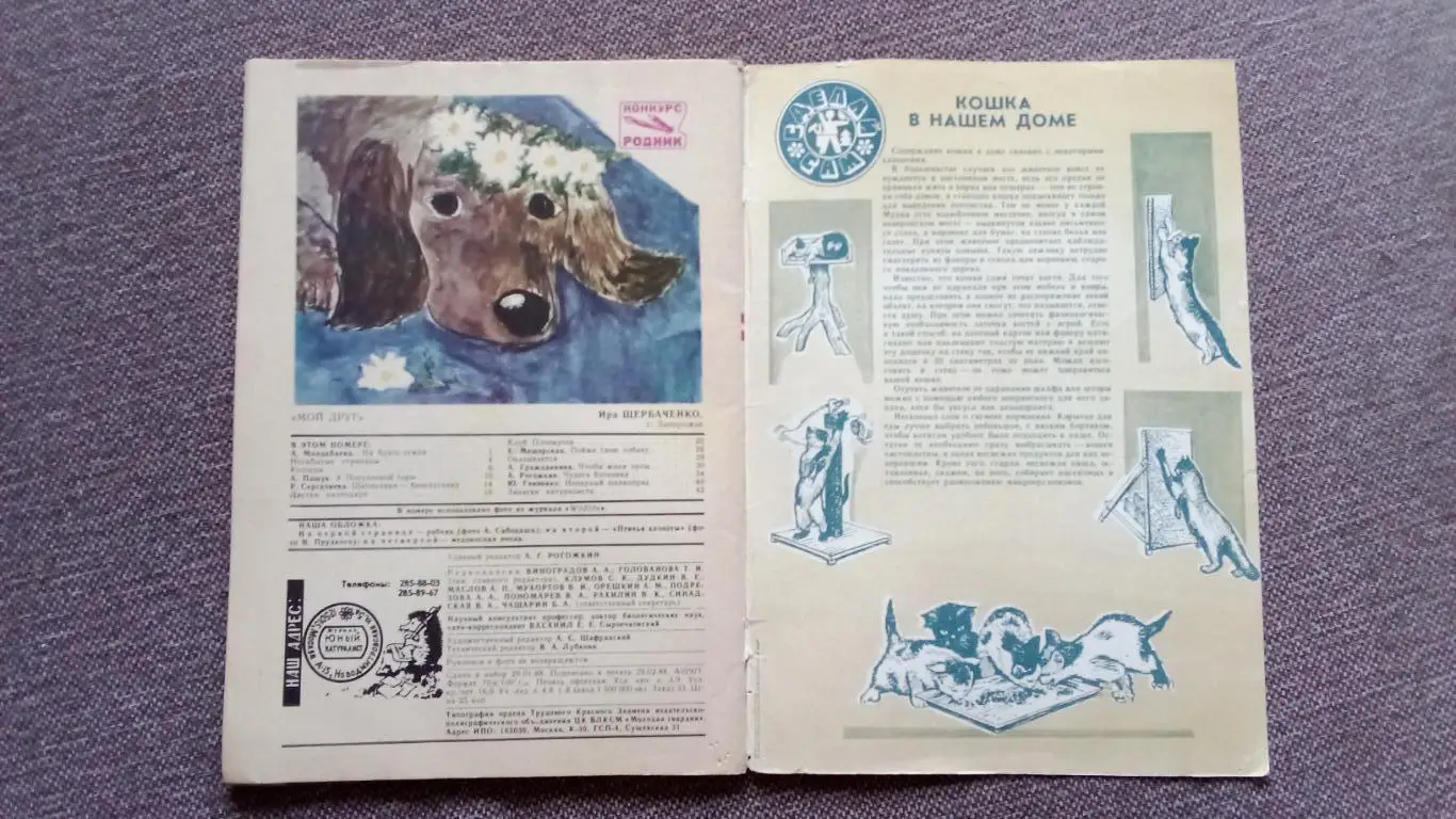 Журнал СССР : Юный натуралист № 4 ( апрель) 1988 г. (Флора и фауна , животные) 3