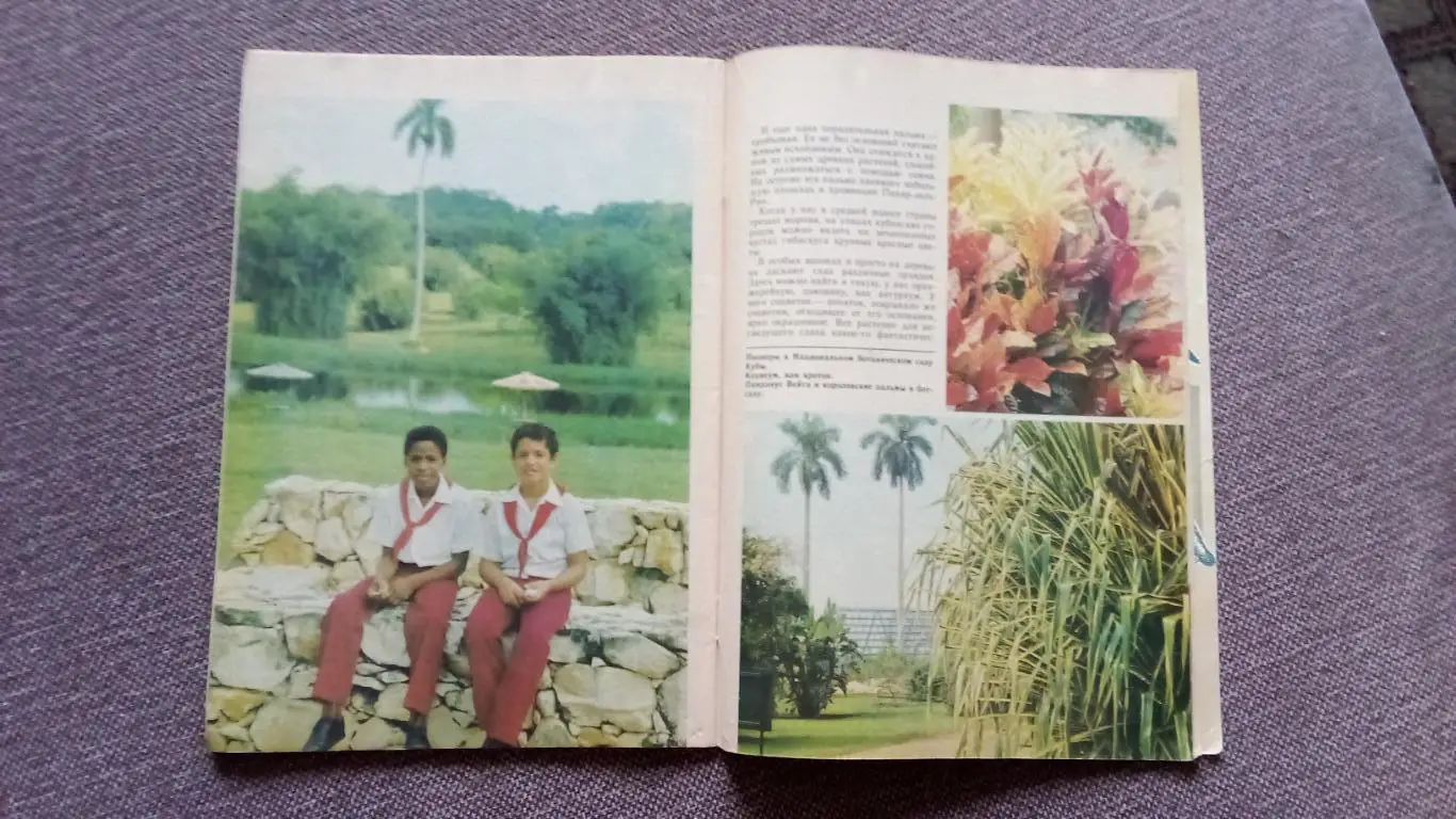 Журнал СССР : Юный натуралист № 4 ( апрель) 1988 г. (Флора и фауна , животные) 5