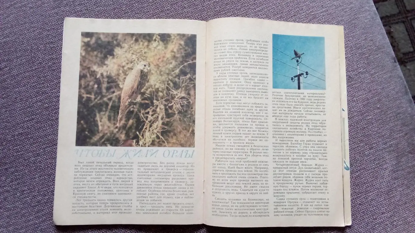 Журнал СССР : Юный натуралист № 4 ( апрель) 1988 г. (Флора и фауна , животные) 6